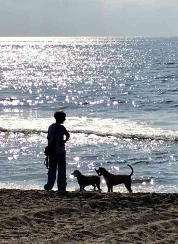 Ann & the Girls enjoying an early morning walk on the doggy beach at Alicante, on their way from wintering in Marbella, S.Spain back to their home in Divonne-les-Bains, near Geneva.
